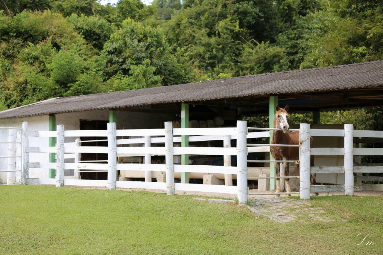 Fazenda Alamo Hotel 3*