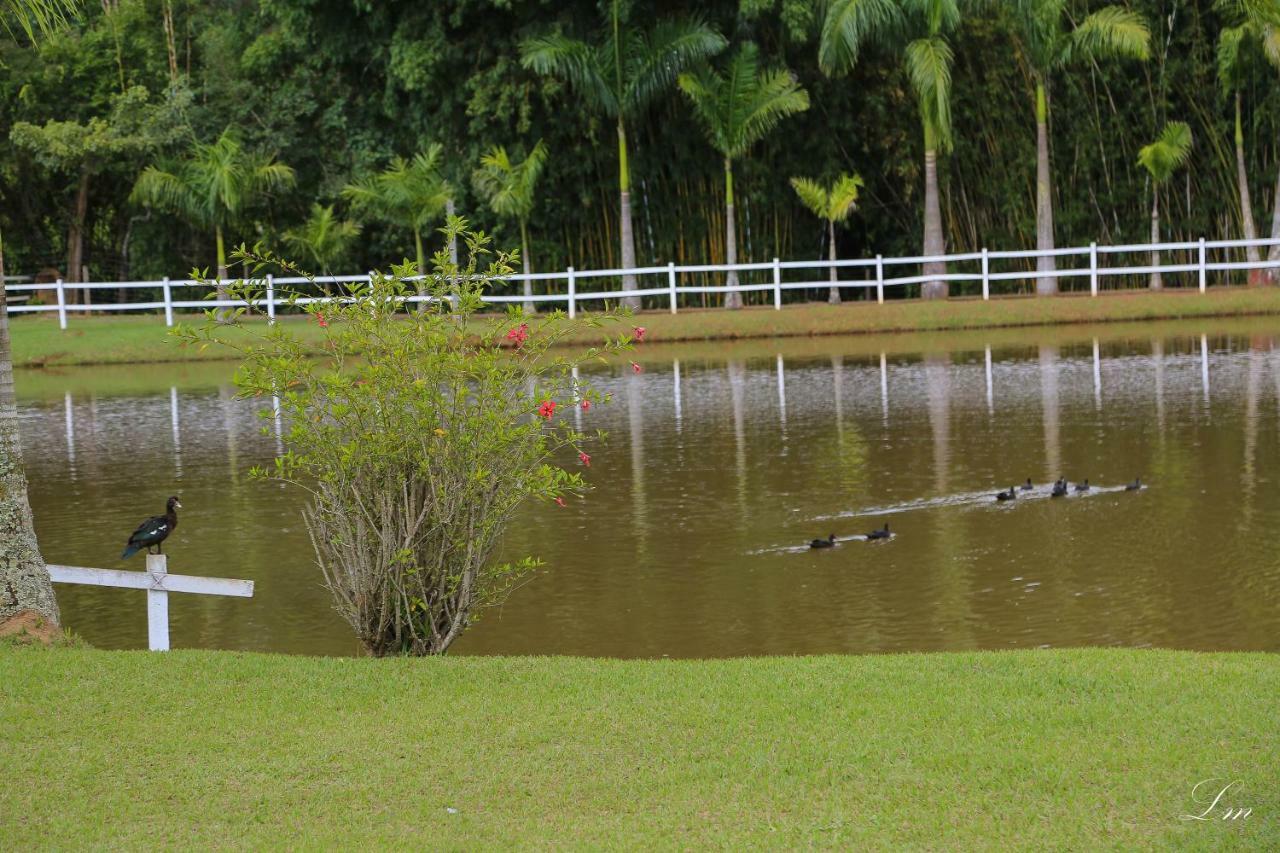 Fazenda Alamo 3* Campo Belo